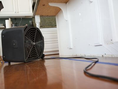 Professional mold remediation services in Romeoville